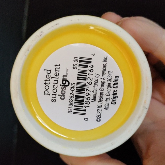 Planter for teacher with faux succulent - Picture 5 of 11